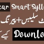 1st Year Smart Syllabus 2025 PDF